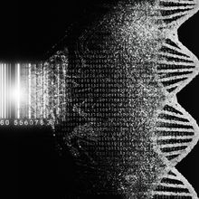 A DNA strand and a barcode representing the DNA barcoding technique.