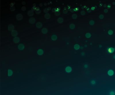 An array of green dots, some faded, some bright, on a black background.