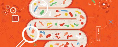 A cartoon of pills and bacteria along the human intestine.