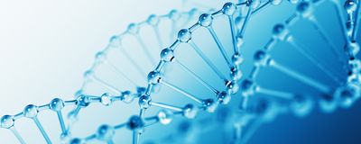 Discover What Digital PCR Can Do Across a Wide Range of Applications