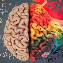 An image of a brain, with scientific elements on the left side and color splashing out on the right side.