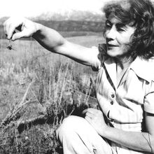 A black and white photo of a woman holding up a spider in a pair of tweezers