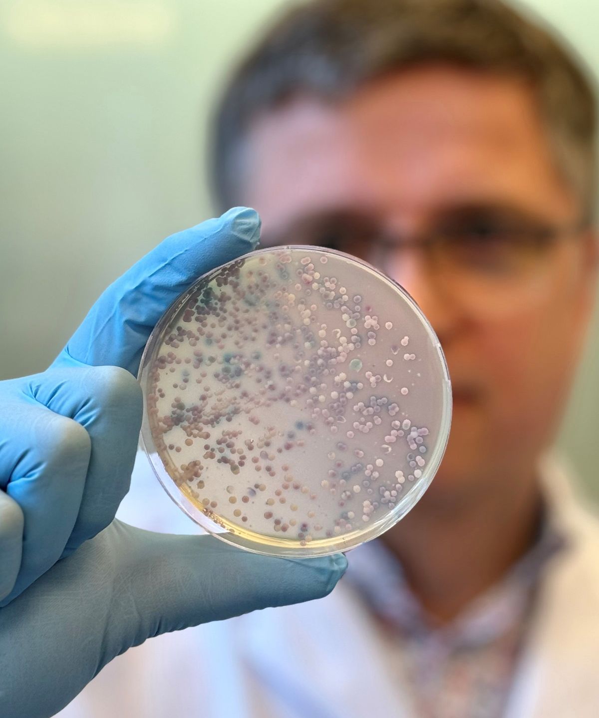 Photo of a blurred Ferry Hagen holding an agar plate with fungus up to the camera.