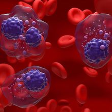 An illustration of circulating tumor cells surrounded by red blood cells.