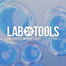 Whole-Well Brightfield Cell Counting with the Latest in Microplate Imaging Technology&nbsp;