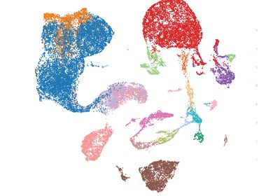 A graph showing how scGPT groups cells, each represented as a dot, into cell types, shown as clusters of dots of the same color.