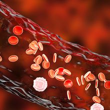 Blood vessel with flowing red blood cells and white immune cells.