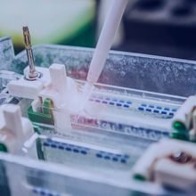 Close-up image of western blot gel electrophoresis with pipette tip in background.