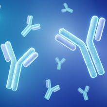 An illustration of antibodies floating in solution.