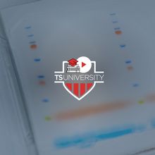 Turning the PAGE: Tips for Protein Electrophoresis and Western Blotting