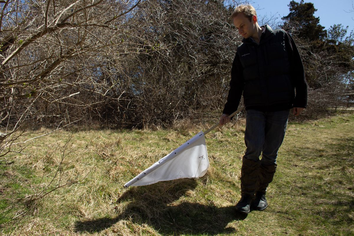 Esvelt walks through a field, dragging a piece of white fabric through the grass.