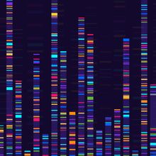 An illustration of multicolored DNA bands on a gel after Sanger sequencing.