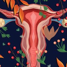 An artistic illustration of the female reproductive system.