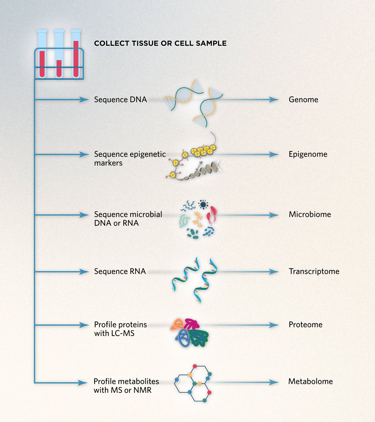 In a multiomics analysis, DNA molecules can be sequenced to generate the genome, epigenome, and microbiome; RNA sequencing yields the transcriptome; and molecular approaches such as mass spectrometry or NMR provide information on proteins in the proteome and metabolites in the metabolome. 