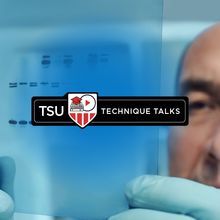 Winning Westerns: Tips and Tricks for Protein Electrophoresis and Western Blotting