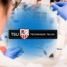 Winning Westerns: Tips and Tricks for Protein Electrophoresis and Western Blotting