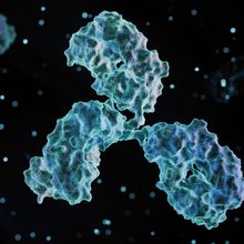 Discover How Immunoassays Deliver Protein Biomarker Research Solutions