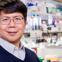 Image of Lasker laureate Zhijian &ldquo;James&rdquo; Chen. He wears glasses and a light blue shirt under a dark blue sweater. He smiles at the camera.