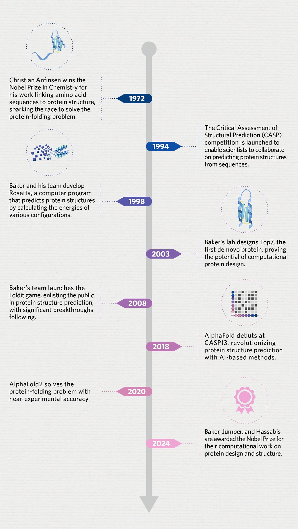 A timeline of the protein structure and protein design research leading up to the Nobel Prize