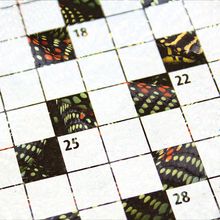 A black snake encircled with pattens of red and yellow spots, curled up against a black background.