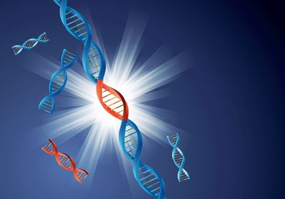 Illustration of a blue piece of DNA with a red segment in its middle on a purple background. Blue and red segments that have been cut out surround the larger strand.