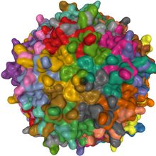 Crystal structure of adeno-associated virus serotype 3B