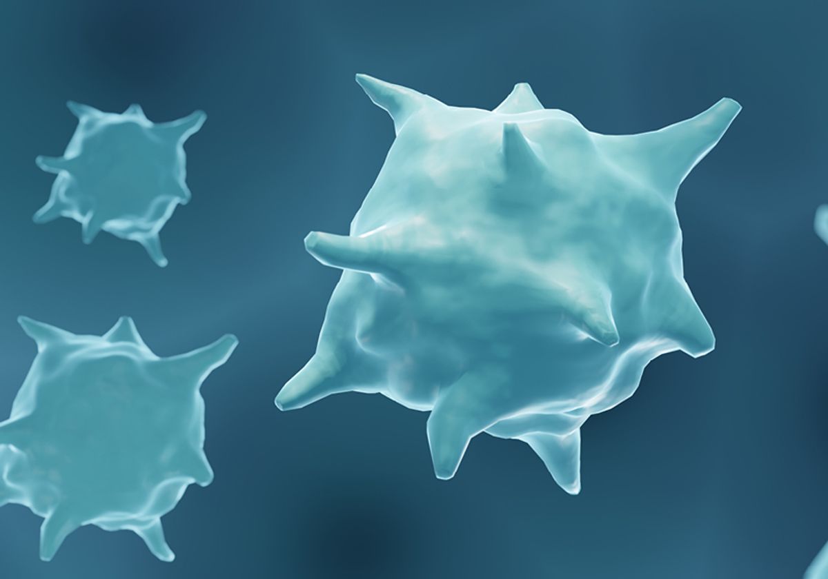 A 3D artist’s rendition of a macrophage.