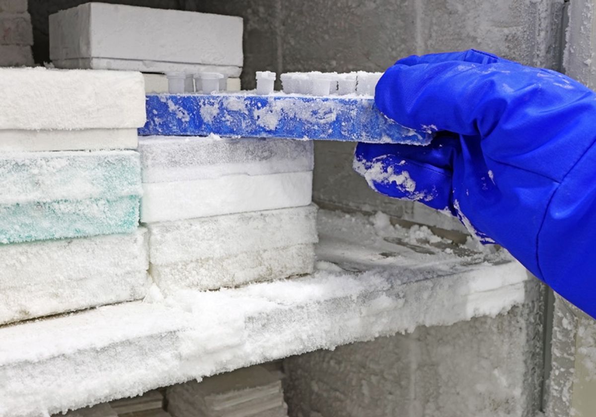 A researcher removes a tube rack from an ultra-low temperature freezer with frost build-up.