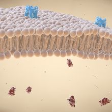 Understanding Cancer Using Cryo-EM