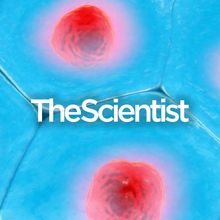 Exploring the Tumor Microenvironment with Spatial Biology