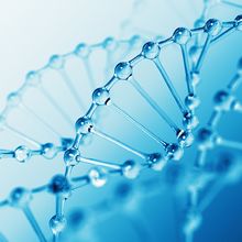 Discover What Digital PCR Can Do Across a Wide Range of Applications