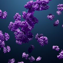 An illustration of purple proteins on a dark background.