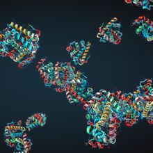 Colorful protein chains