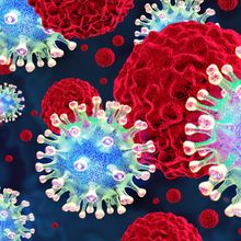 Spherical viruses with spiked membrane proteins on their surfaces surround larger suspended cancer cells.&nbsp;