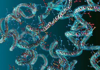 Artist&rsquo;s rendition of translucent teal proteins comprised of red spherical amino acids