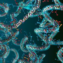 Artist&rsquo;s rendition of translucent teal proteins comprised of red spherical amino acids