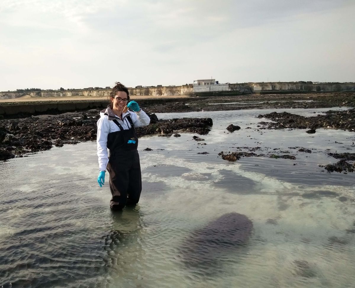 A person standing in knee-deep water, holding a starfish.