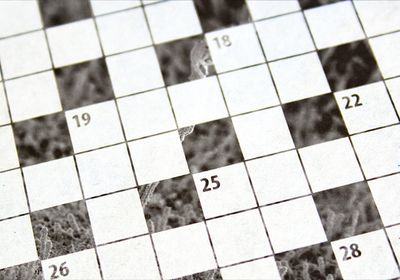 May 2024 Digest crossword