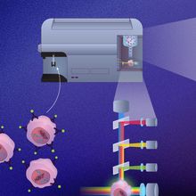 Infographic showing how flow cytometry enables researchers to assess several cell parameters simultaneously at a single-cell level with the help of lasers.