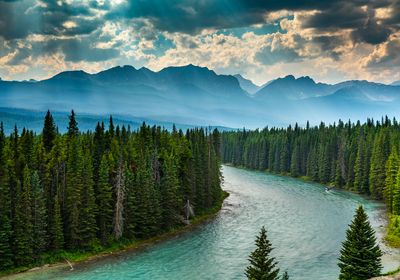 A river surrounded by trees with mountains in the background.