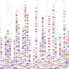 Genome sequence map concept