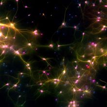 This is DishBrain, an in vitro system that combines human brain cells with artificial intelligence technology, which researchers at Australian biotech Cortical Labs recently trained to play the classic 1972 Atari video game Pong. Fluorescent markers show axons in green, neuron bodies in purple, dendrites in red, and all other cells in blue. Where multiple markers are present, colors are merged and typically appear as yellow or pink. Posted: October 12, 2022