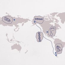 Illustrated map showing where evidence was found of the earliest humans