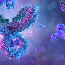 Purple and blue antibodies rendered in 3D