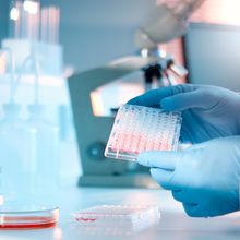 A scientist examining a microtiter plate