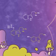 Chemical structures of DMT, Psilocybin and serotonin