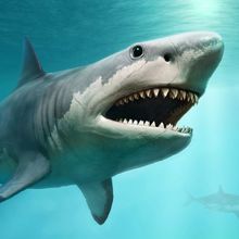 Megalodon from prehistoric times scene 3D illustration