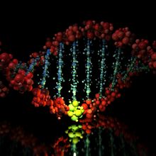 A bright, illuminated, yellow cluster of spheres, representing a mutated base pair, stands out from a double helix of deep red base pairs joined by blue hydrogen bonds