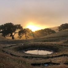 Photo of a shallow, drying pond blocked off by a low fence in a hilly grassland with trees in the background.