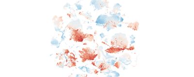 A UMAP projection of a large transcriptomics dataset.